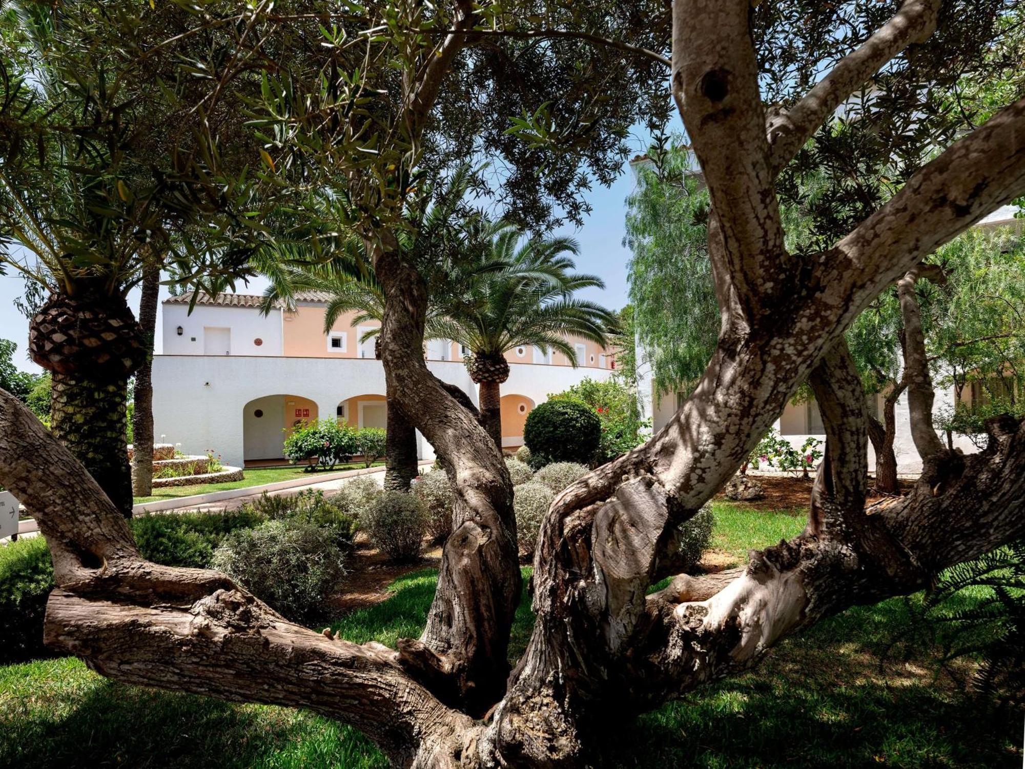 Sol Falco Menorca Son Xoriguer Luaran gambar